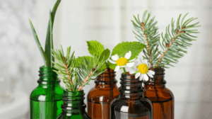 Essential Oil bottles with a small fresh plant. These are all natural ingredients used in Minus Bite All Natural Pest Repellents.