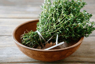 A large bowl of fresh thyme. An essential oil used in Minus Bite All natural pest repellents