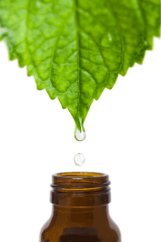 A vision of a leaf dropping a drop of oil into a brown glass jar.