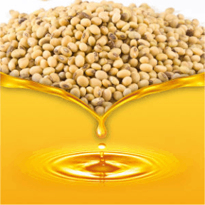Pure soybean oil, a natural ingredient in Minus Bite all natural pest repellents.
